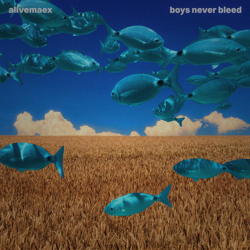 boys never bleed — cover